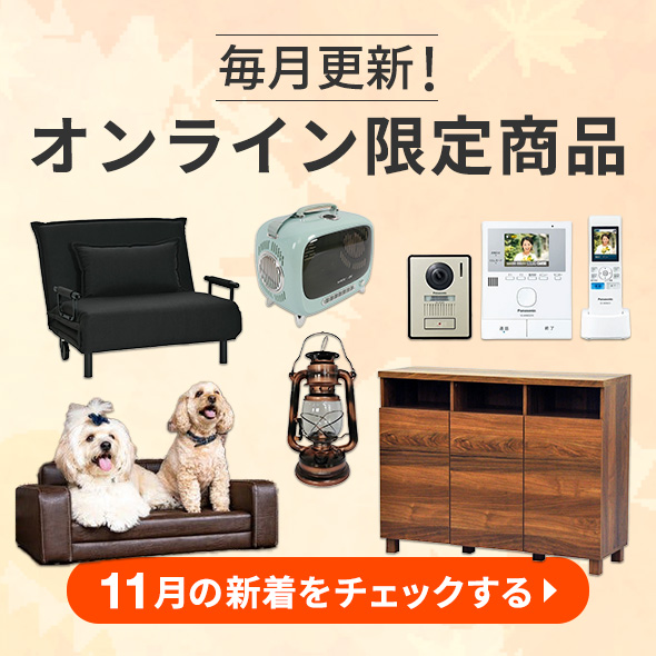 今月の新着オンライン限定商品