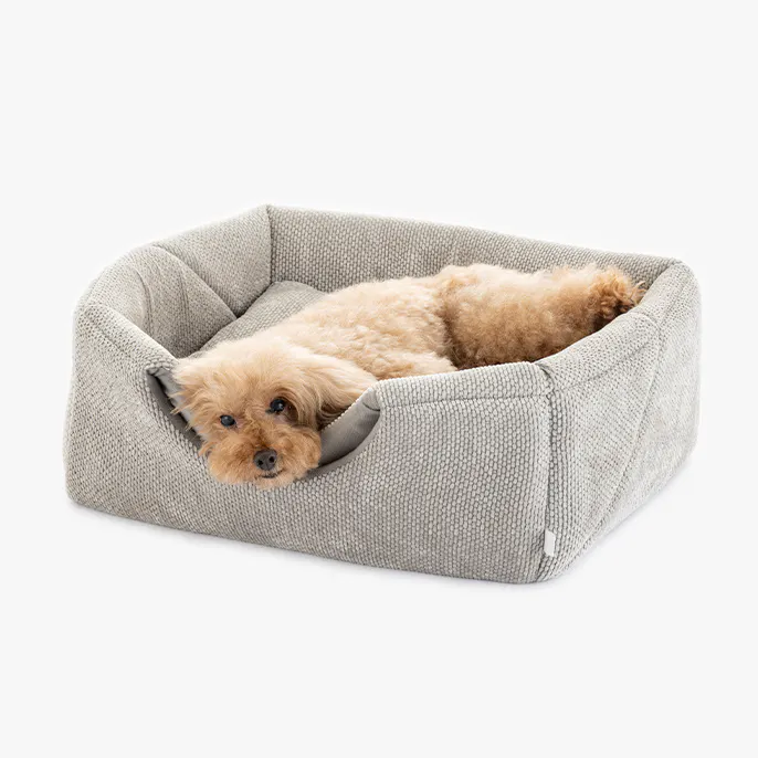 pet_bed_recommend01_02_686x686.jpg
