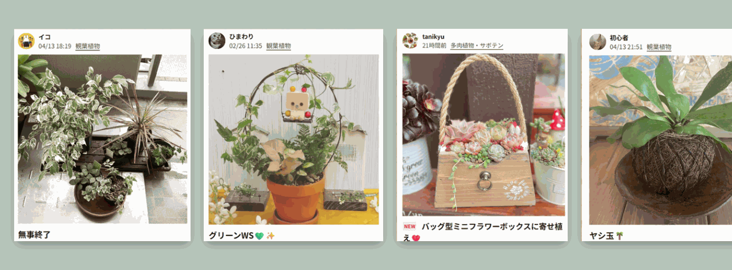 あした、なにする？】観葉植物のあるくらし｜ホームセンターのカインズ