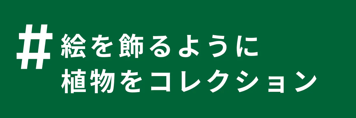 観葉植物 図鑑