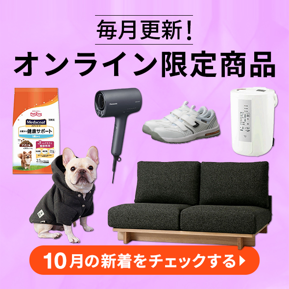 今月の新着オンライン限定商品