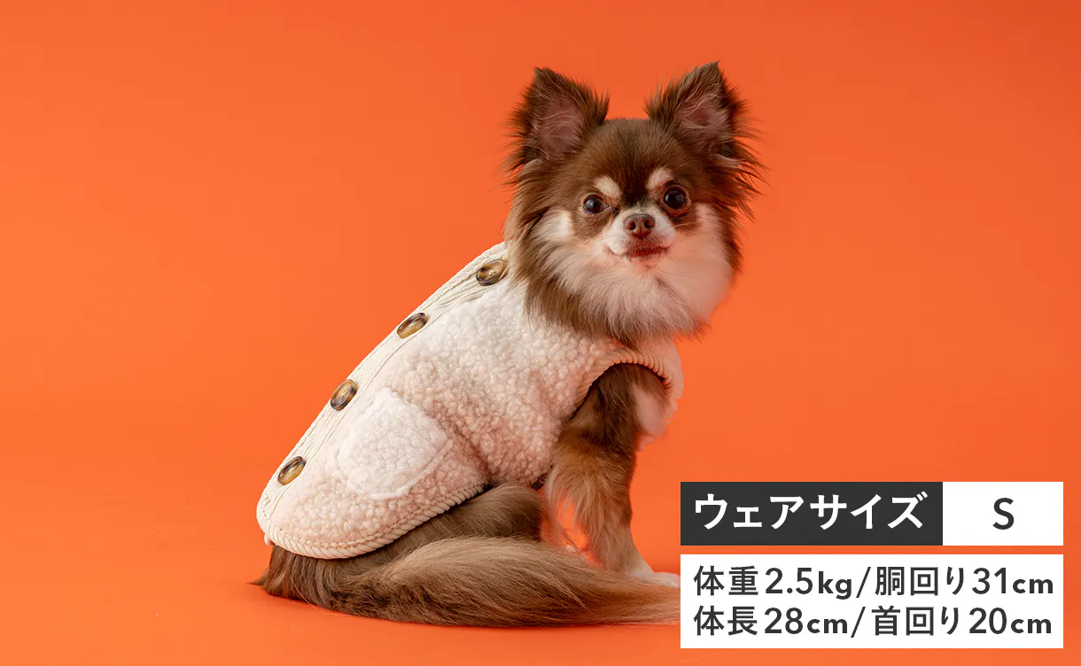 pet_wear_img09b_1220x752.jpg
