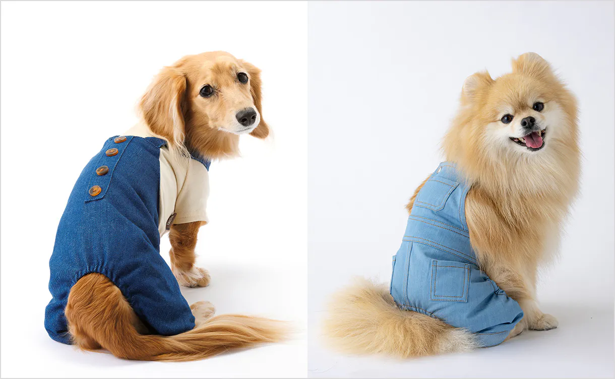 pet_wear_img05_1220x752.jpg