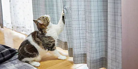 カーテン・布団カバー・ルームシューズ