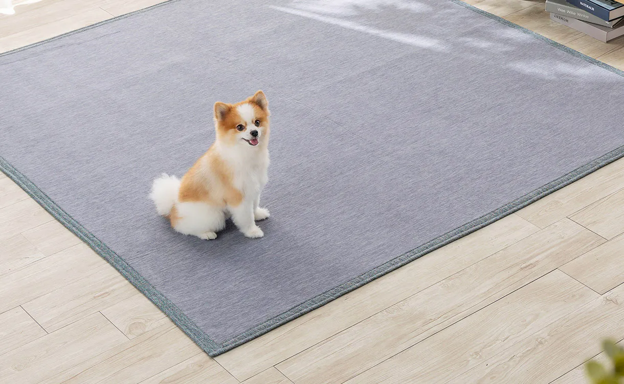 rug_anc02_1_1_1220x752.jpg