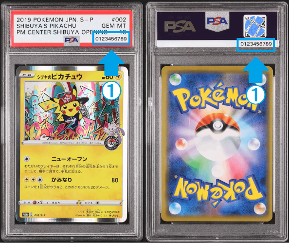 PSAの偽造カードが急増中！本物の特徴は？ #5【画像資料あり