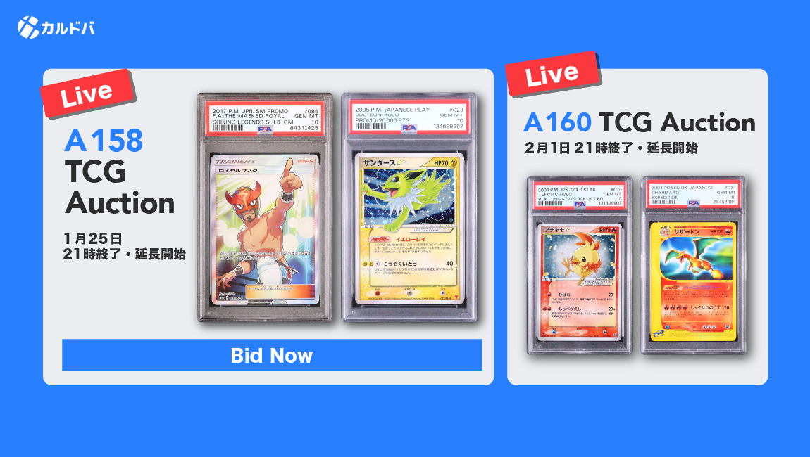 【鑑定品】Knowledge Vault PSA 8 鑑定品】Knowledge Vault PSA 8 【公式通販】