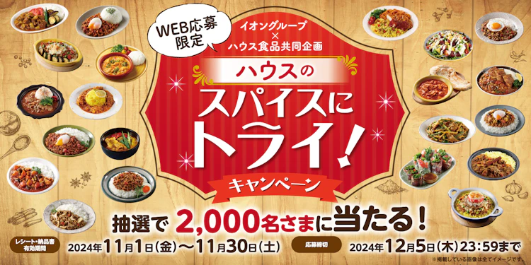 【全国エリア】イオングループ×ハウス食品共同企画　スパイスにトライ！キャンペーン