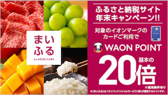 イオンフィナンシャルサービス株式会社