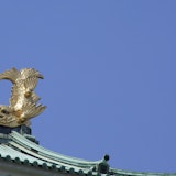 【名古屋】のiPhoneの買取店おすすめ5選!ジャンク品を売るならナオセルもおすすめ!