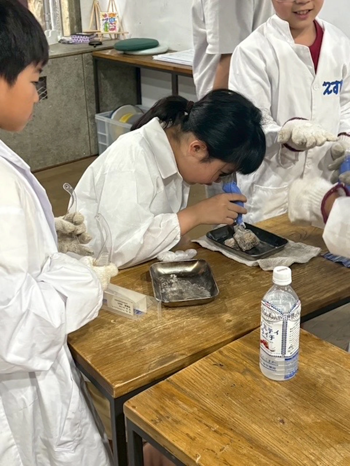 自由研究のまとめ方は？小学生でもできる発表のコツを解説