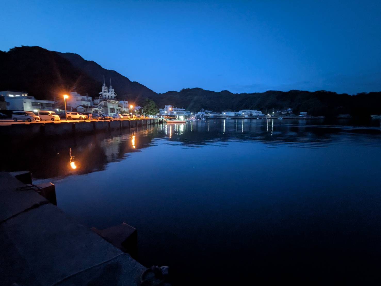 朝は流石に涼しいです。