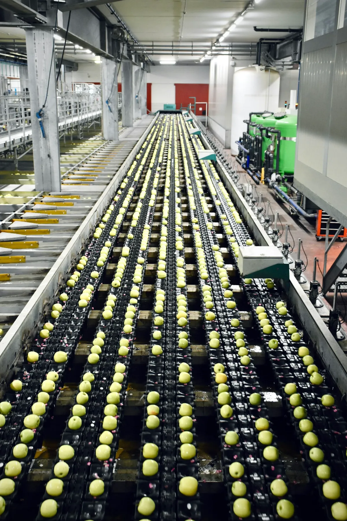食品製造工場の生産ライン。人手不足と物流2024年問題、食品ロス削減を背景にAI導入が加速している