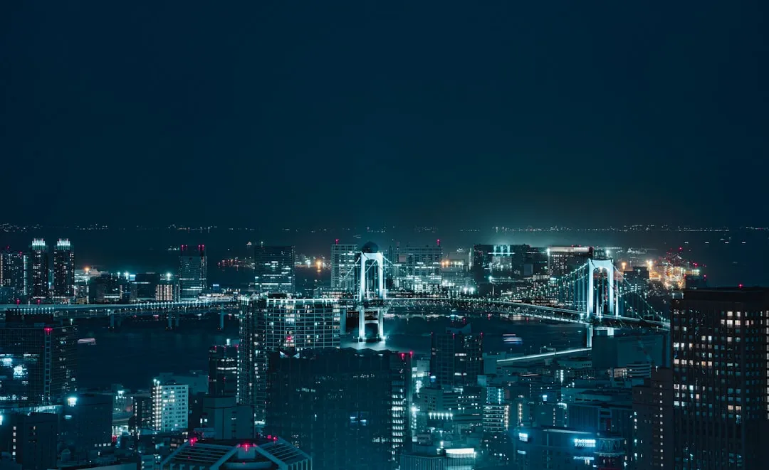 夜の都市景観(日本市場への展開イメージ)
