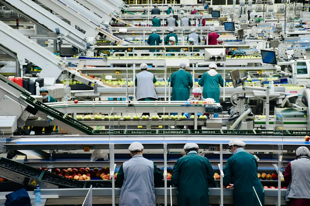 食品工場の検査・選別工程。AI画像検査が品質検査・異物検出領域で最も投資対効果が見えやすい