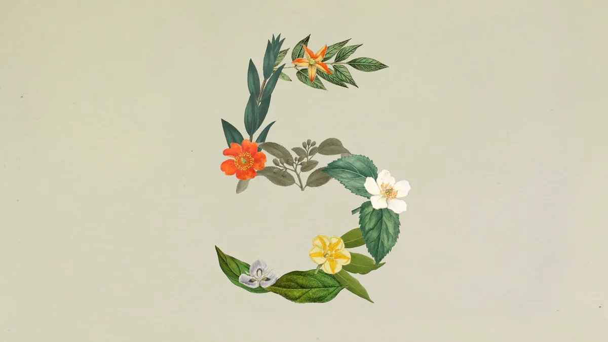 草花で数字の5をかたどったClaude Sonnet 5の公式キービジュアル