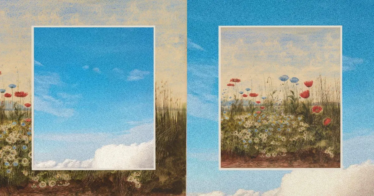 Anthropic Public Benefit Fundの発表記事に使われた、野の花と青空を組み合わせたビジュアル