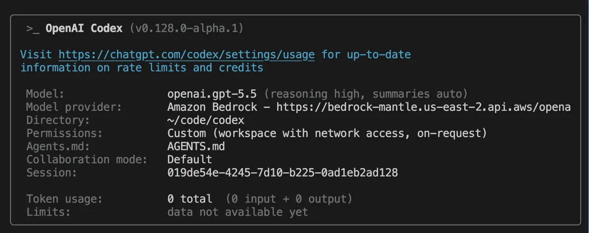 OpenAI Codex on Amazon Bedrock