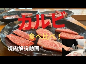 お店のカルビを焼きながら解説!