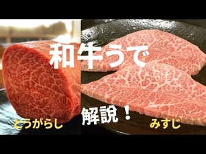 和牛うで肉の特徴解説!