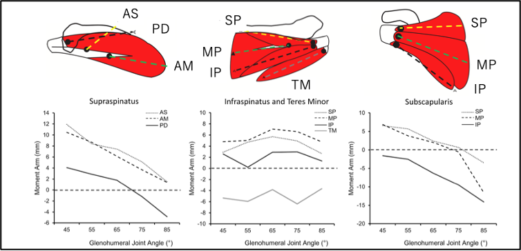 ReHabase | 知識と経験を共有し、信頼されるセラピストへ