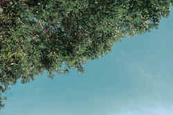 部屋の選び方ポイントーその２ー部屋の形