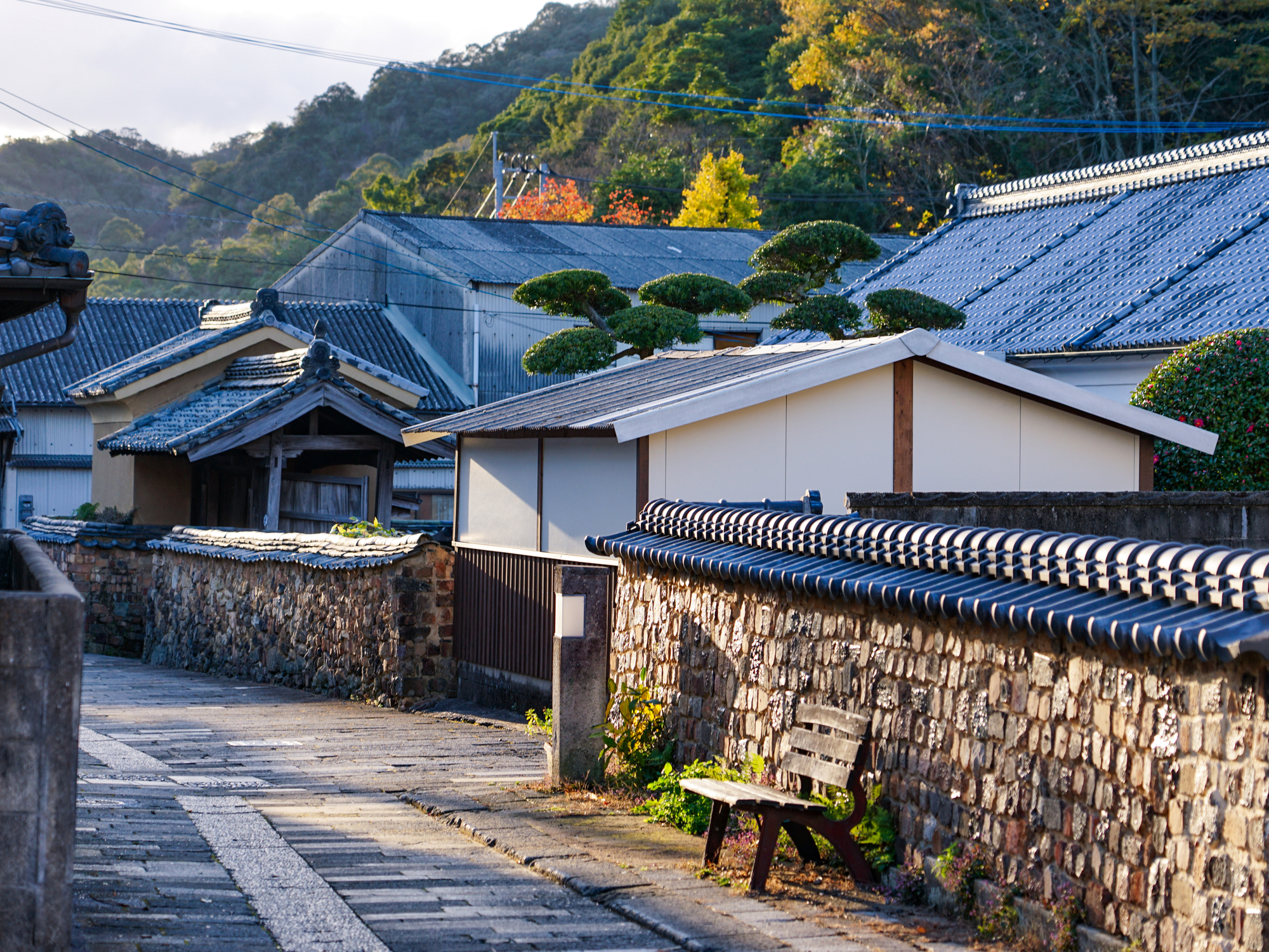  【Saga】 Cycling Tour One-Day Trip | Explore Saga's History and Cuisine with a Professional Guide.