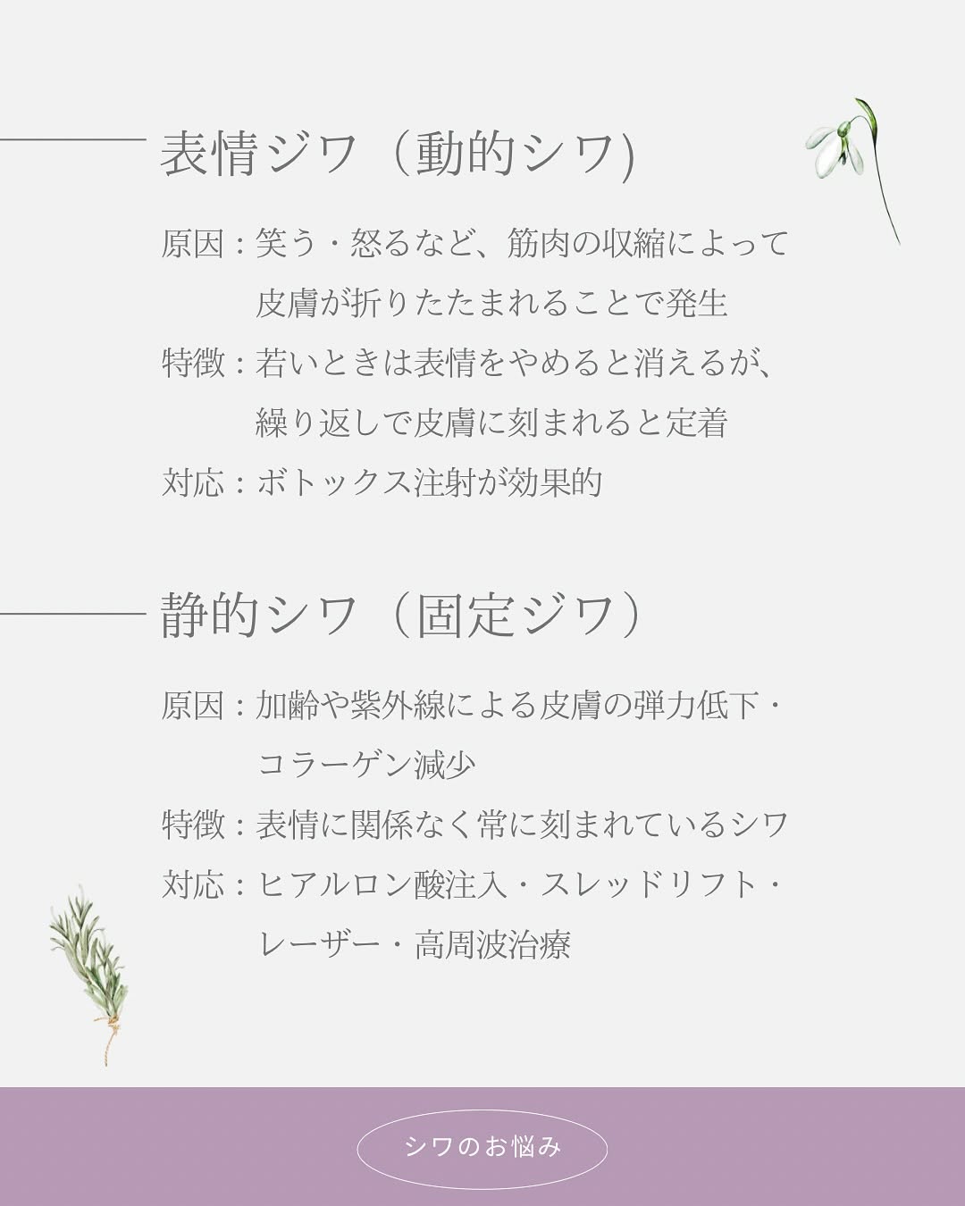 年齢に伴うシワのお話｜種類を知れば最適なケアが見えてくる 画像3