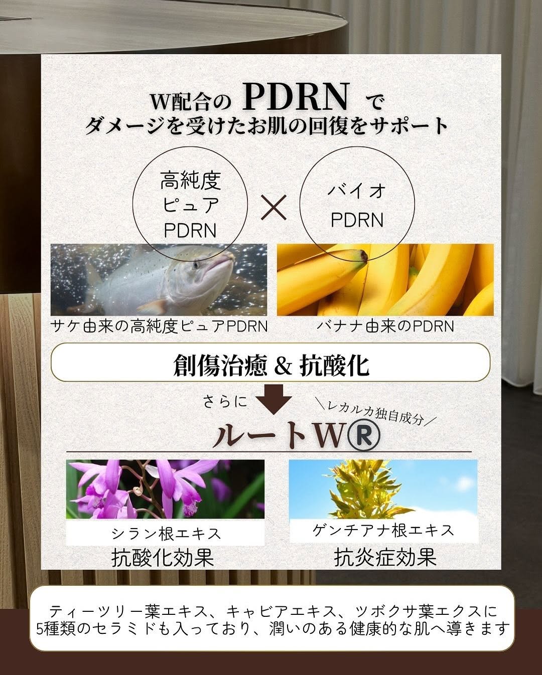 レカルカ新商品DREXモイストバリアリペアミスト — PDRN配合の肌修復ミスト 画像2