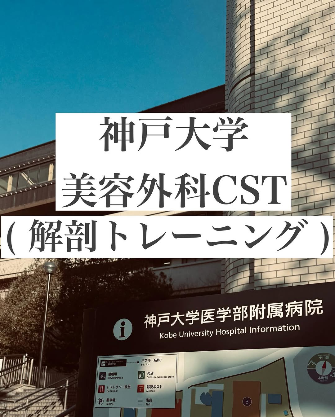 神戸大学の解剖トレーニング(CST)に参加しました — フェイスリフトの解剖を学ぶ