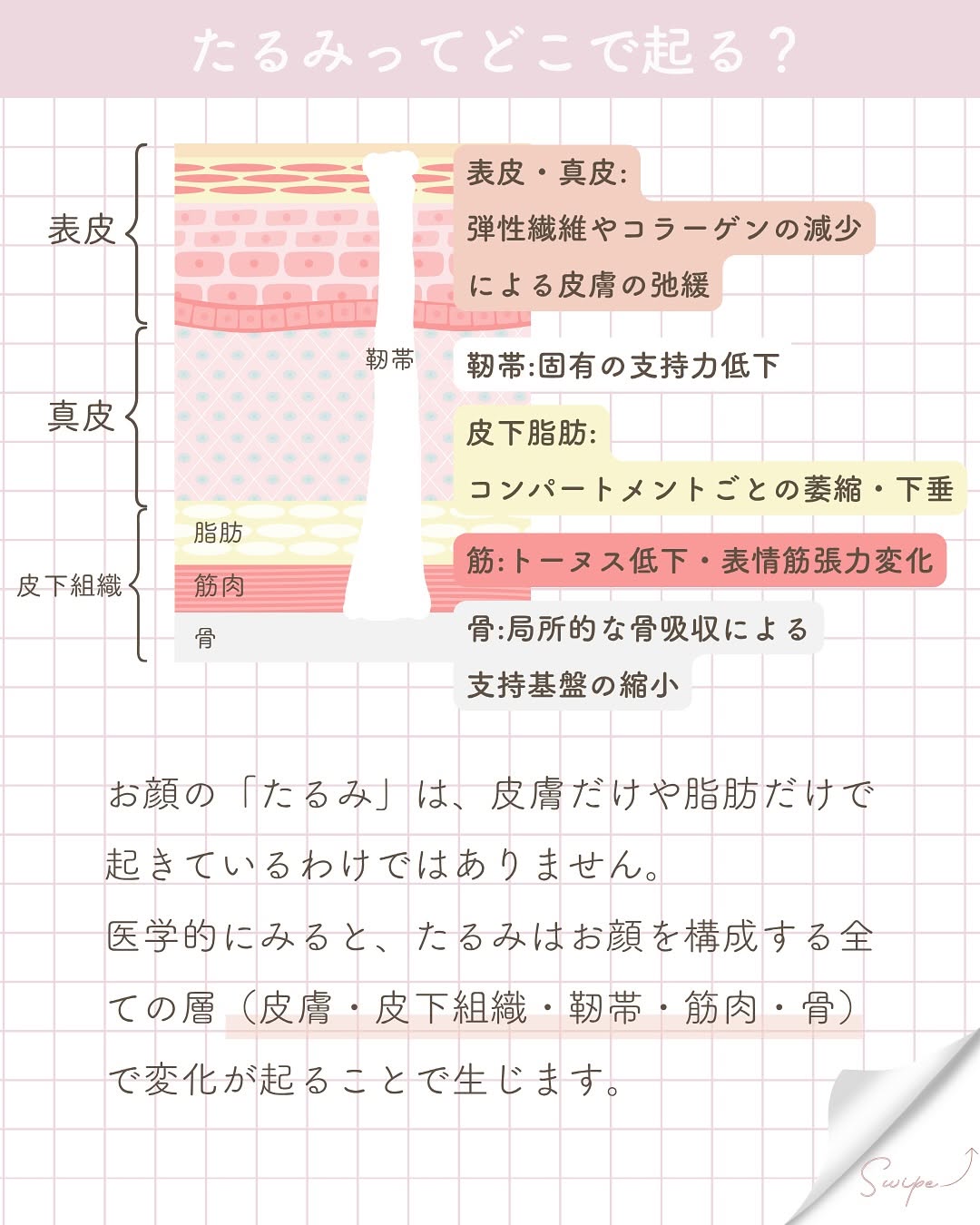 顔の筋肉の老化がたるみを加速する？メカニズムと対策まとめ 画像2
