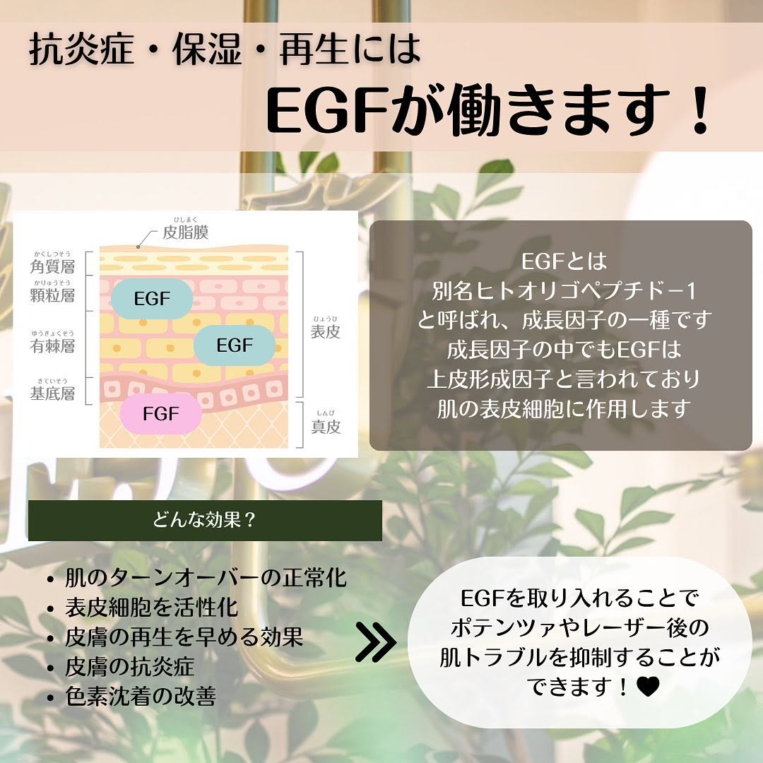 ダウンタイムを最短に！施術後におすすめのスキンケア4選｜EGF・幹細胞配合アイテム 画像3