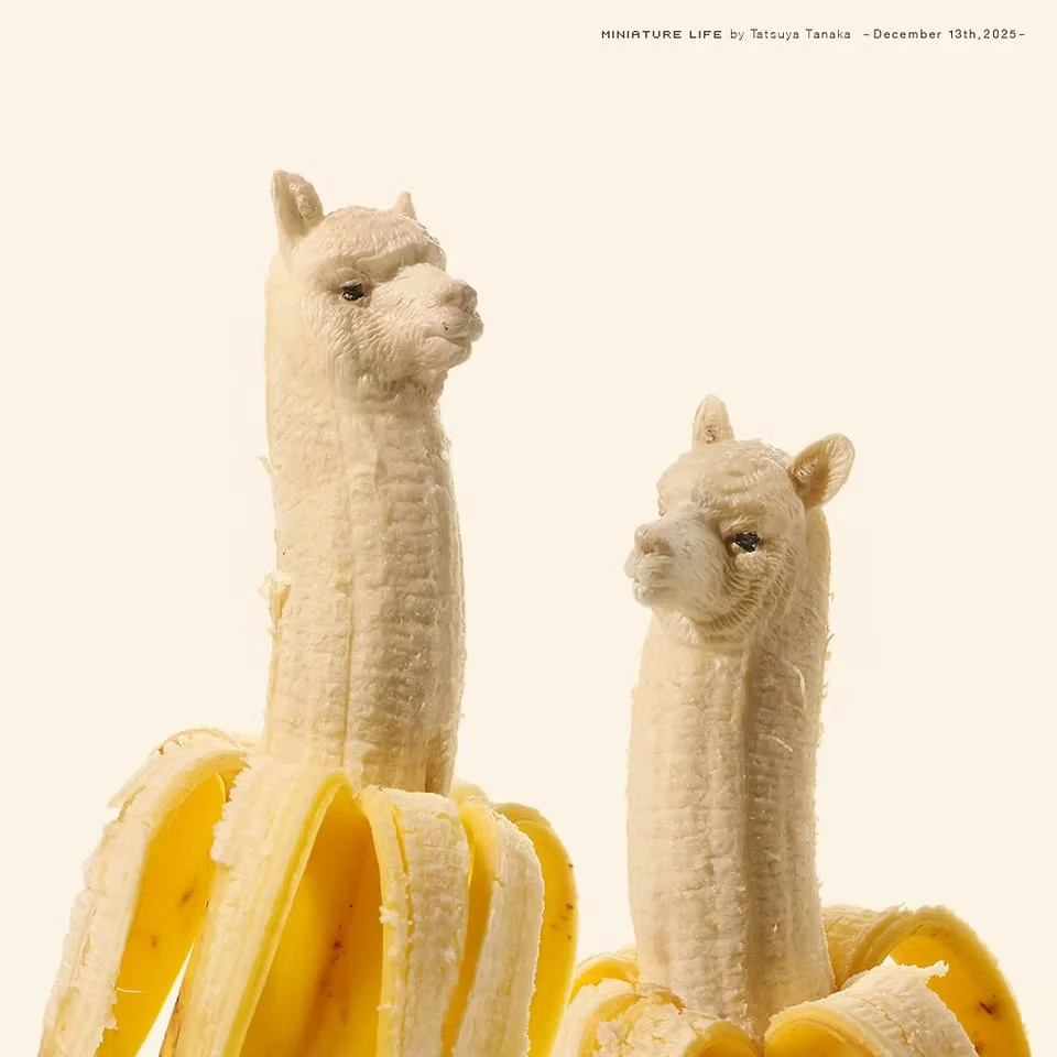 Two peeled bananas whose fruit rises into the necks and heads of alpacas