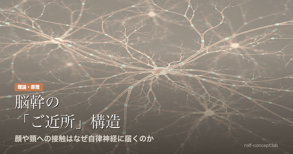 なぜ顔や頸への接触が自律神経に届くのか——脳幹の「ご近所」構造