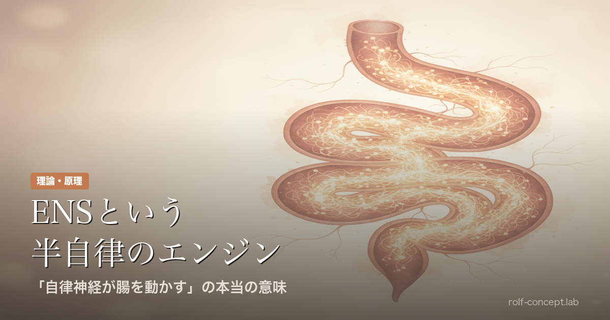 「自律神経が腸を動かす」の本当の意味——ENSという半自律のエンジン