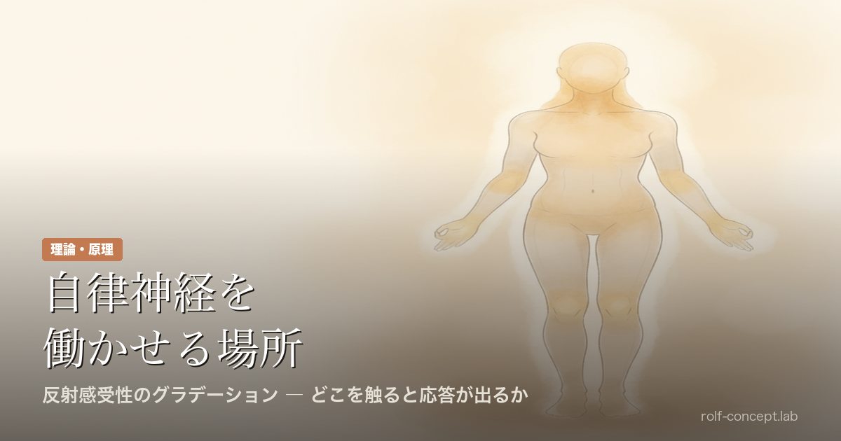 自律神経を働かせやすい場所と働かせにくい場所がある——反射感受性のグラデーション