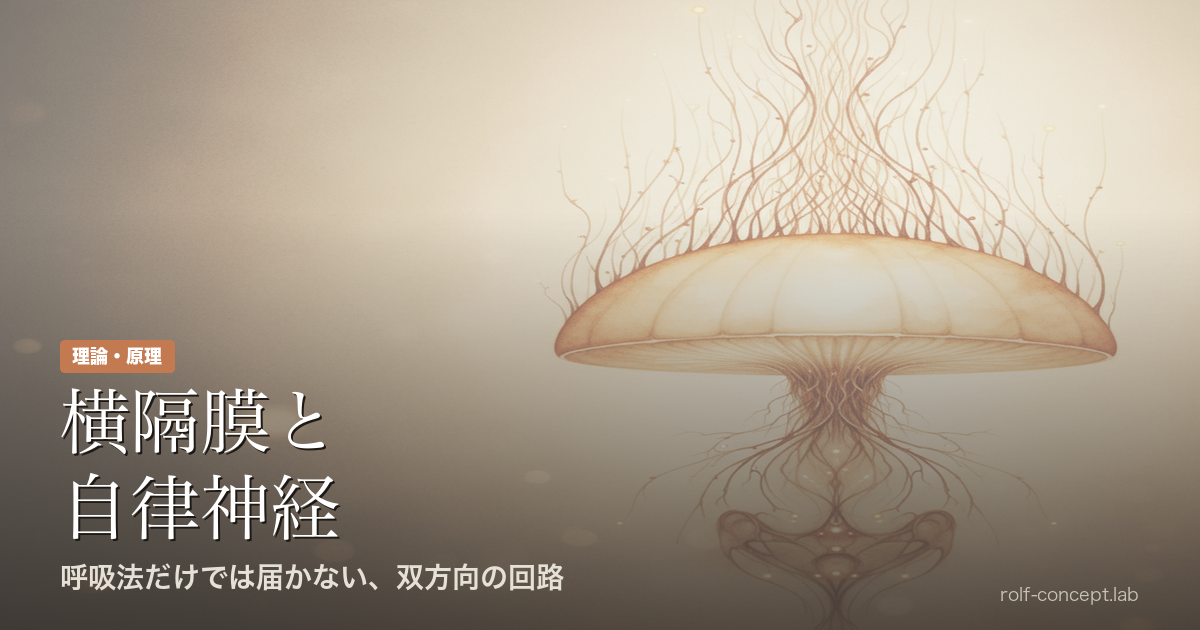 なぜ呼吸法だけでは副交感が働かないのか——横隔膜と自律神経の双方向回路