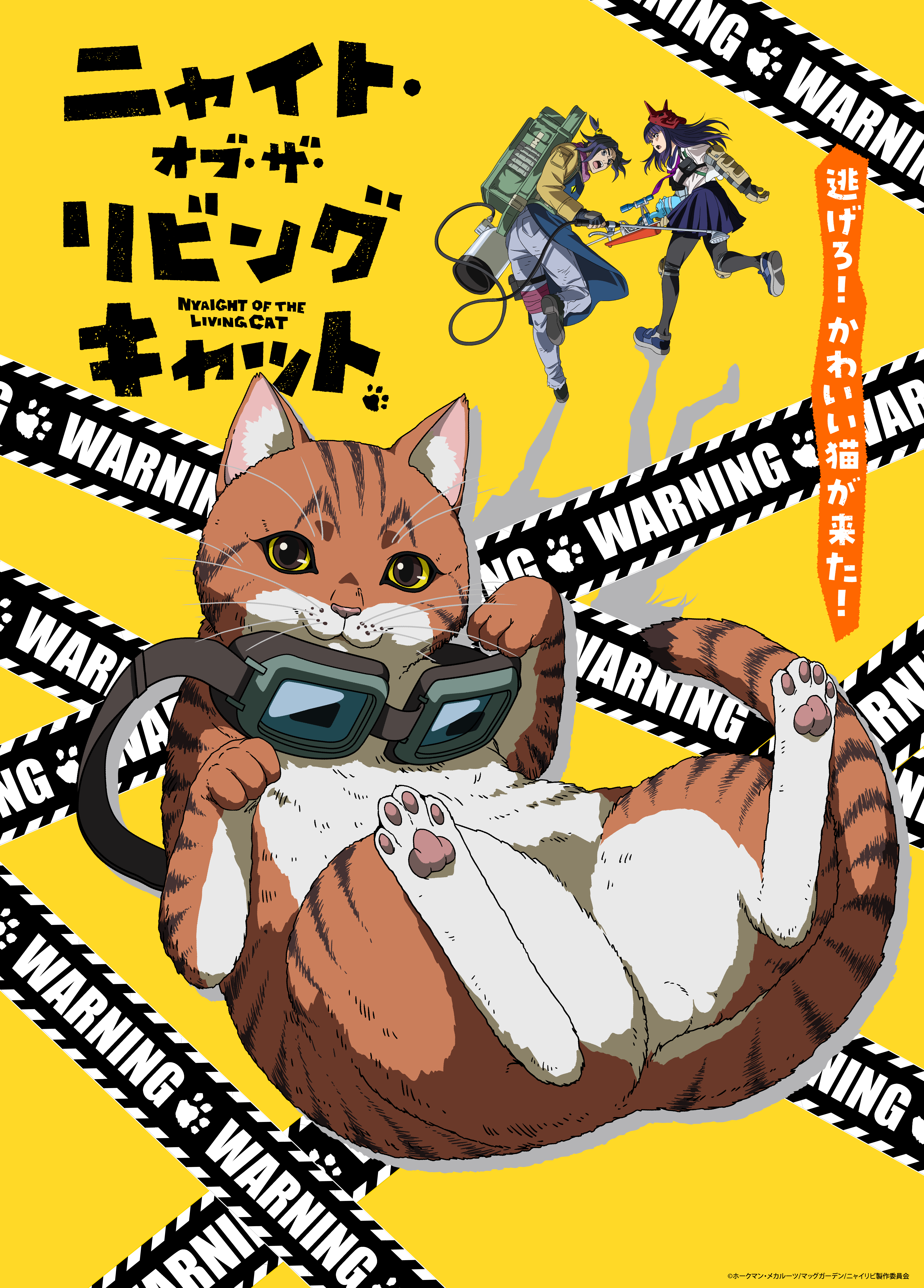 ニャイト_メインビジュアル_