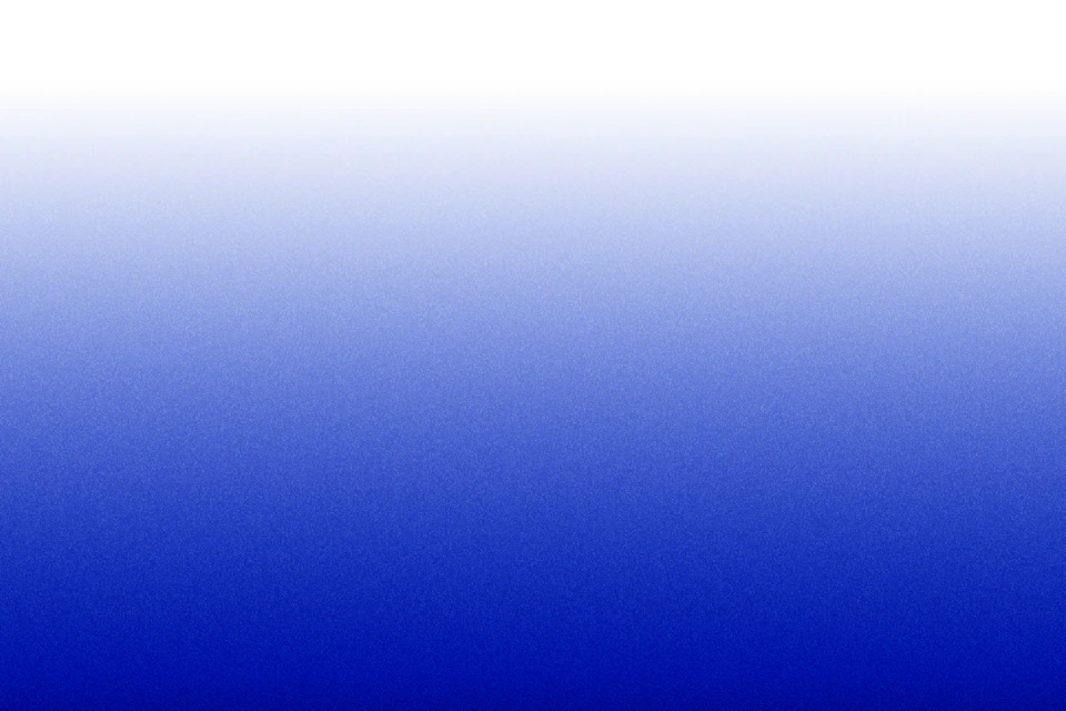 デジタル庁 デザインアセット の画像