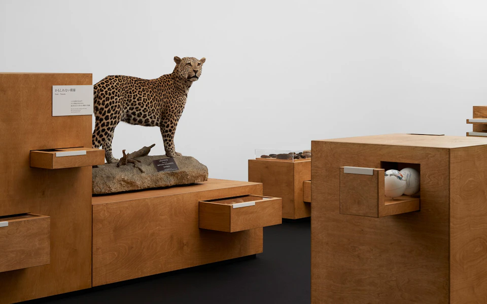 WHO ARE WE 观察与发现的生物学 の画像