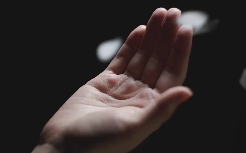 The Art of Bloom の画像