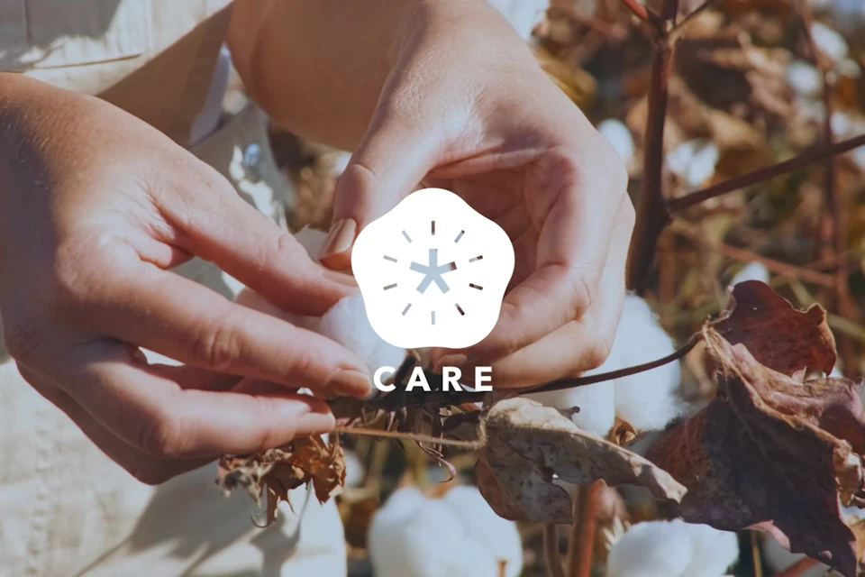 CARE Certificate の画像