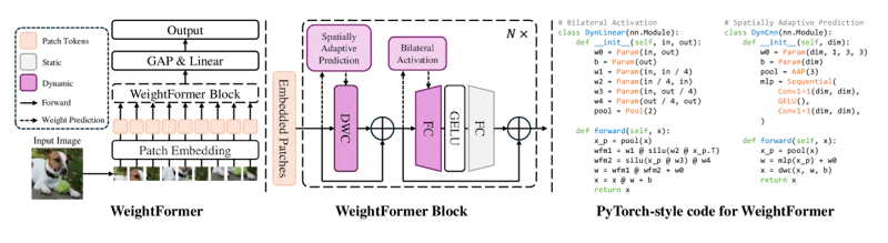 図4: WeightFormerのアーキテクチャ全体図。動的重み予測モジュールがブロックにスパースに配置され、明示的なAttention計算を置き換えている