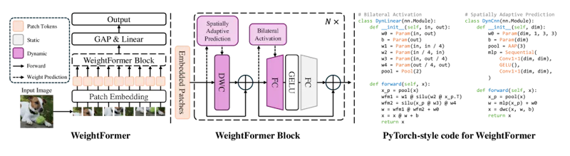 図4: WeightFormerのアーキテクチャ全体図。動的重み予測モジュールがブロックにスパースに配置され、明示的なAttention計算を置き換えている