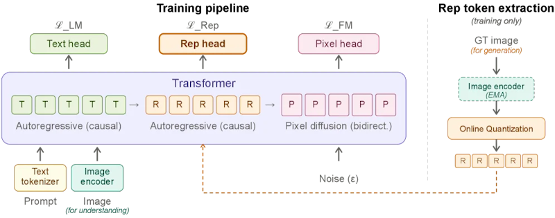 図2: 学習パイプライン。デコーダはテキスト（T）、表現（R）、ピクセルパッチ（P）を統一シーケンスで処理し、3つの損失関数を同時に最適化する。推論時はEMAエンコーダを使わず、デコーダがテキストから表現トークンを直接予測する
