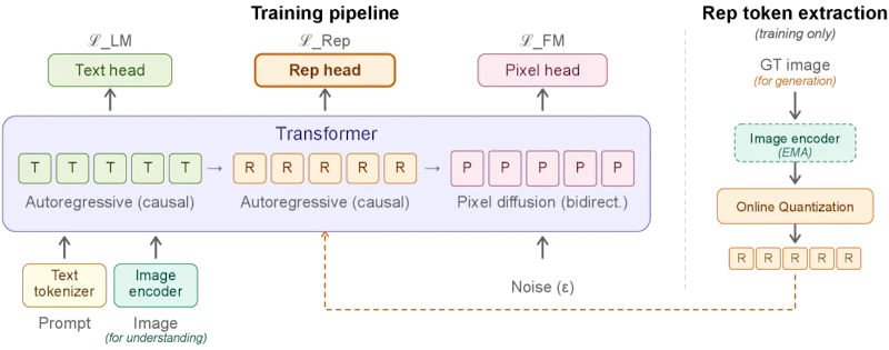図2: 学習パイプライン。デコーダはテキスト（T）、表現（R）、ピクセルパッチ（P）を統一シーケンスで処理し、3つの損失関数を同時に最適化する。推論時はEMAエンコーダを使わず、デコーダがテキストから表現トークンを直接予測する