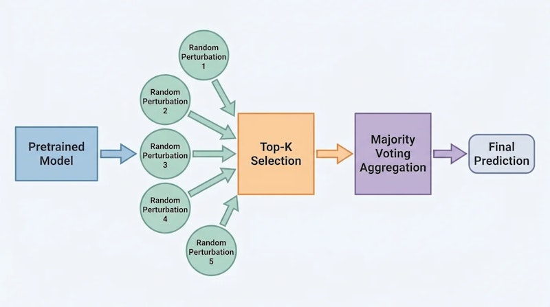 図2: RandOptアルゴリズムの処理フロー。ランダム摂動のサンプリングから多数決による出力統合まで