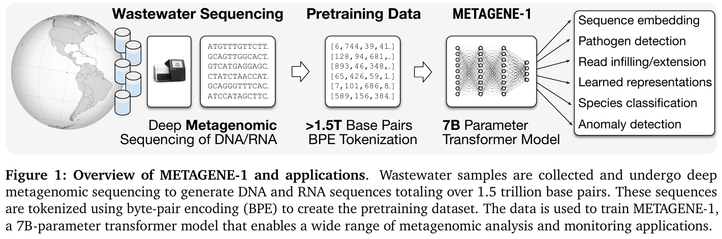 【METAGENE-1】ウイルス検出や感染症の監視を強化するTransformer