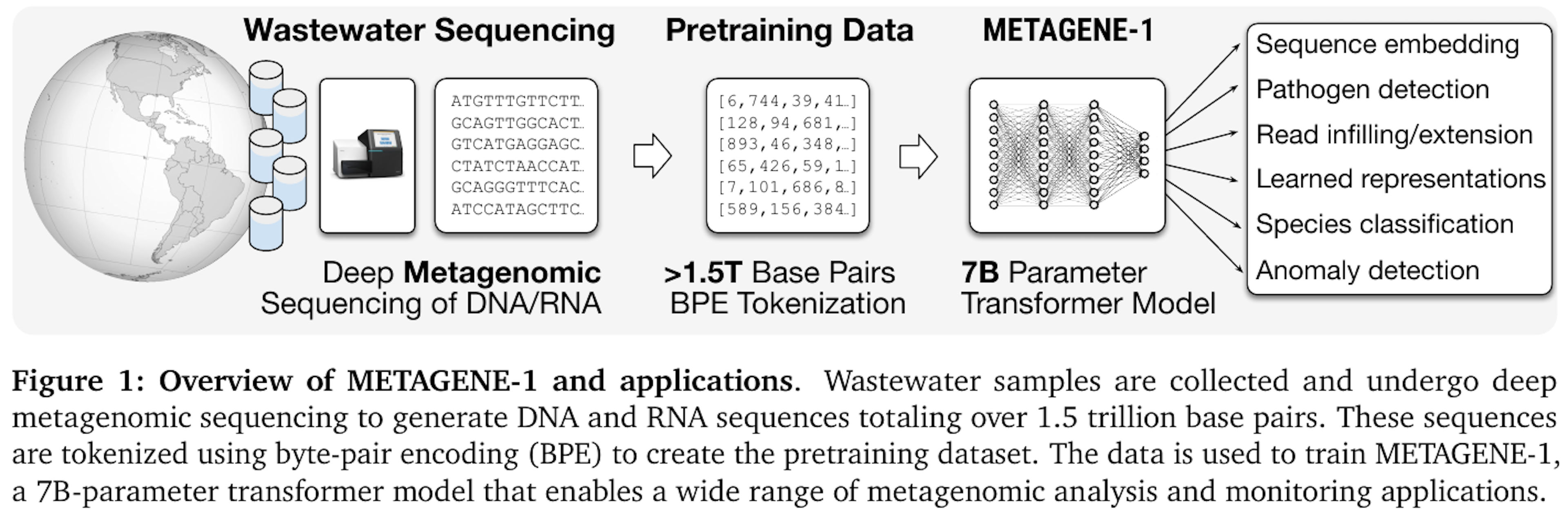 【METAGENE-1】ウイルス検出や感染症の監視を強化するTransformer