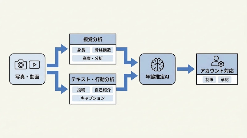 図1: MetaのAI年齢推定システムの処理フロー